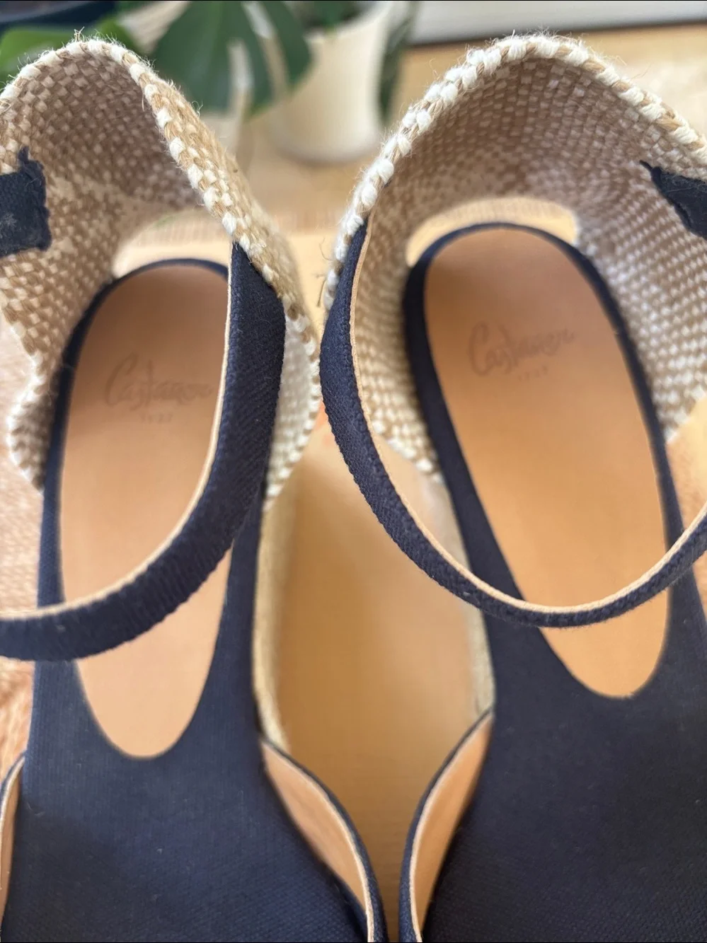 Castaner Carol Wedge Espadrille